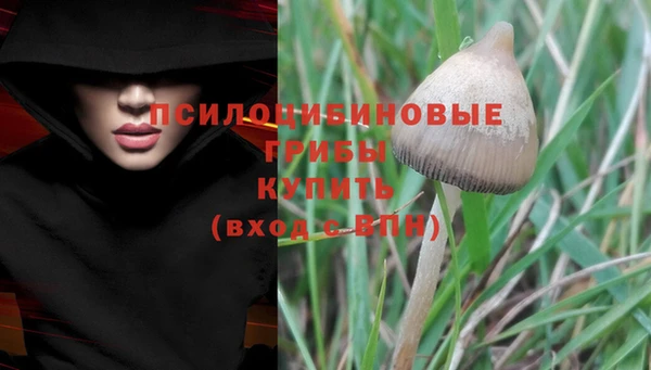 дурь Балабаново