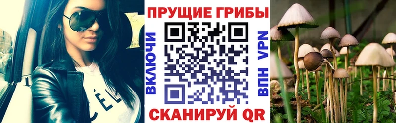 Галлюциногенные грибы GOLDEN TEACHER mega как войти Облучье где найти наркотики
